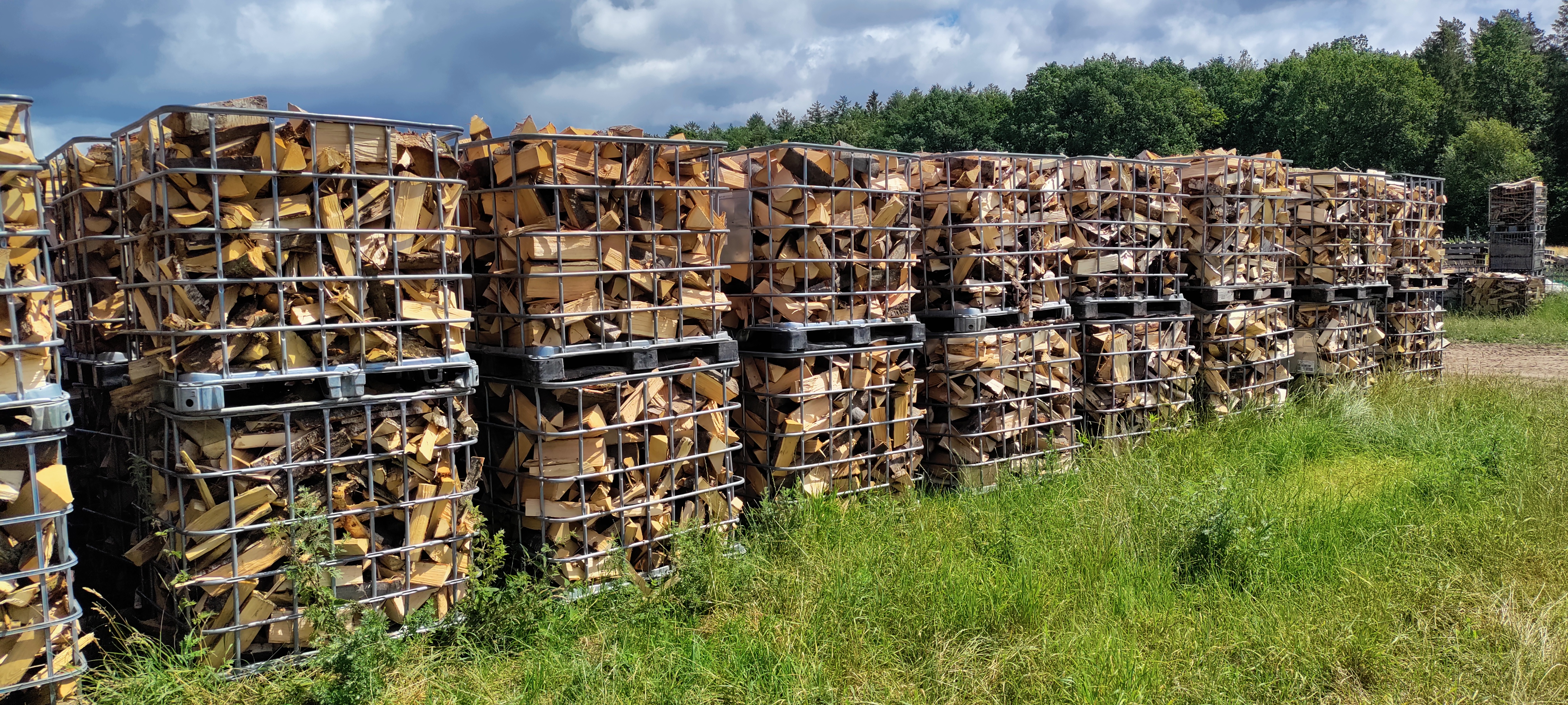 Frisch gespaltenes Brennholz – Holzarten im Vergleich